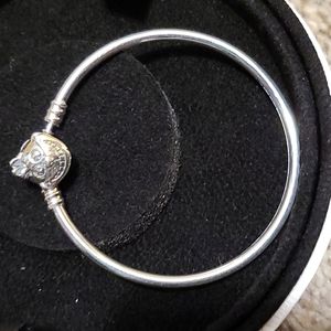 Alice in Wonderland/Aladin padora bracelet and charms.